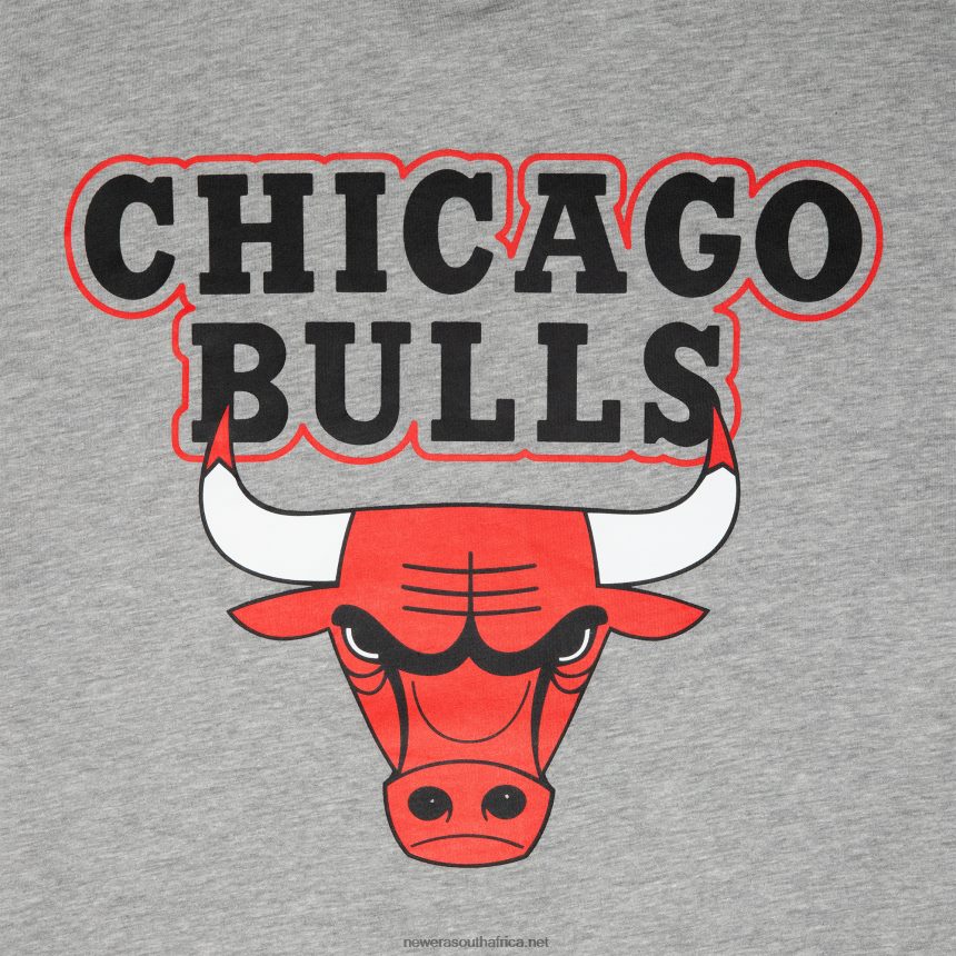 Chicago Bulls NBA Paris Games Grey T-Shirt New Era TRBRBN3000
